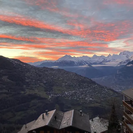 דירה 22 ויסונה