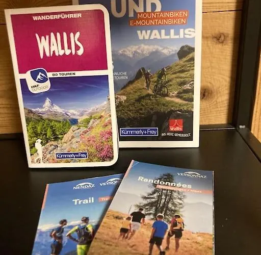 22 דירה ויסונה